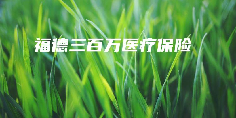 福德三百万医疗保险-保点通