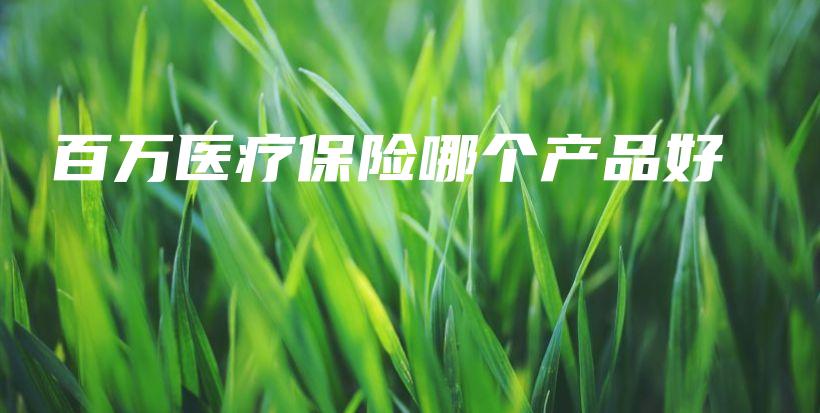 百万医疗保险哪个产品好-保点通