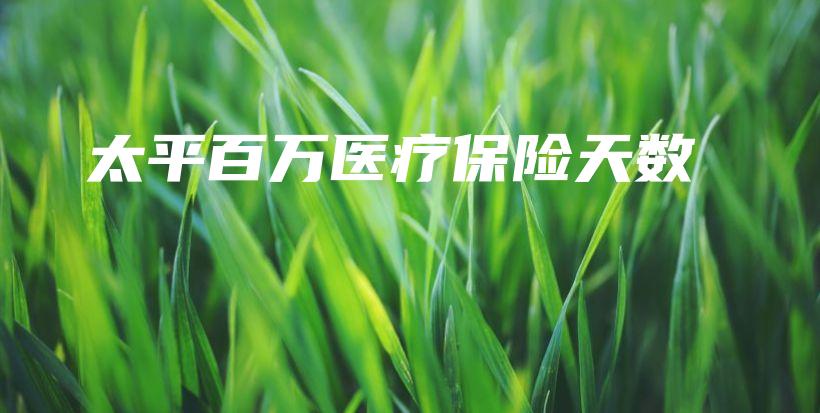 太平百万医疗保险天数-保点通