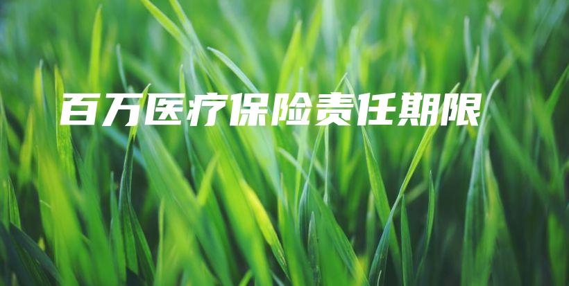百万医疗保险责任期限-保点通