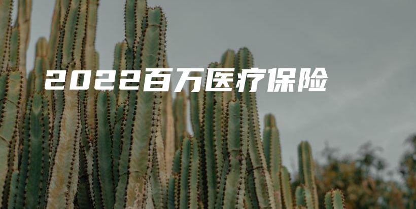 2022百万医疗保险-保点通
