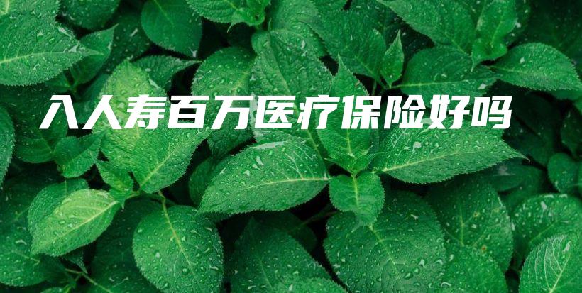 入人寿百万医疗保险好吗-保点通