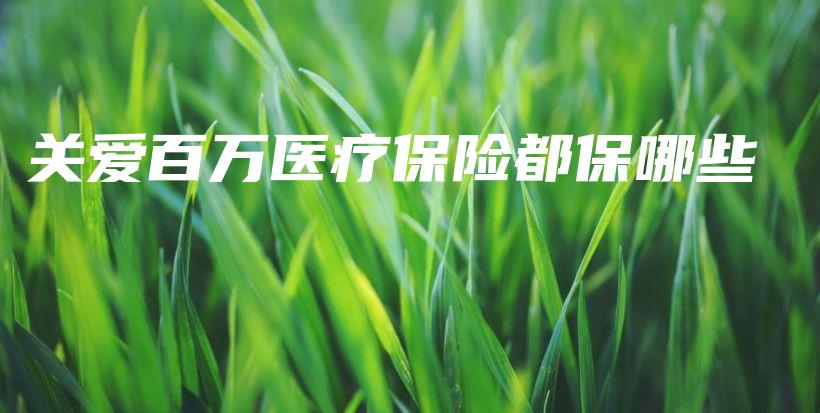 关爱百万医疗保险都保哪些-保点通