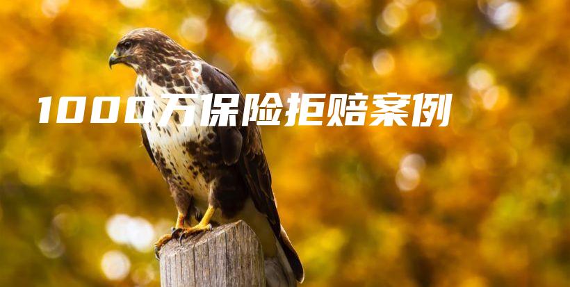 1000万保险拒赔案例-保点通