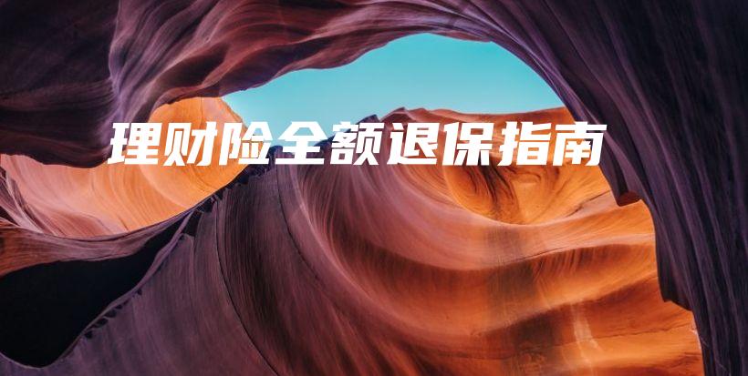 理财险全额退保指南-保点通
