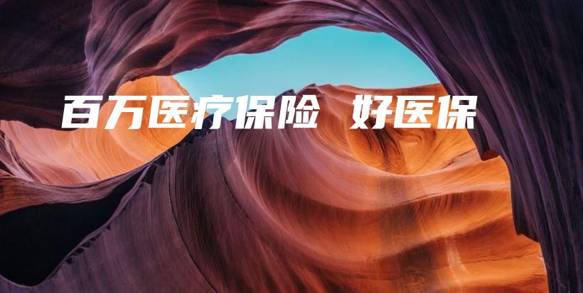 百万医疗保险 好医保-保点通