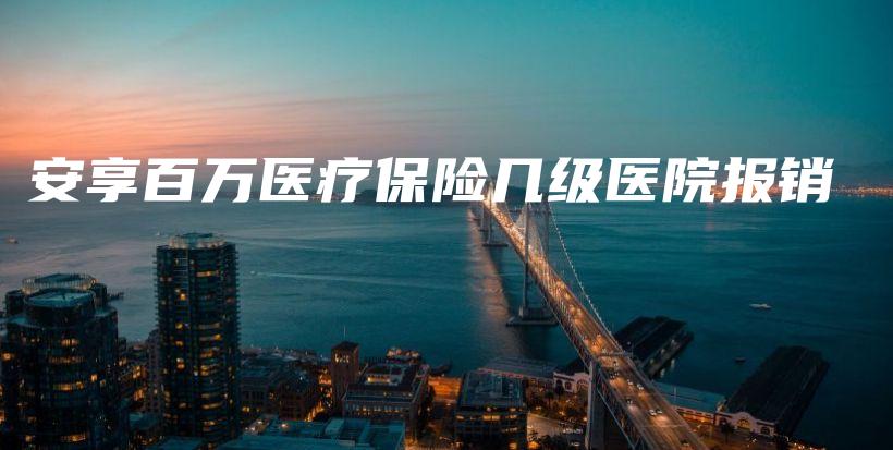 安享百万医疗保险几级医院报销-保点通