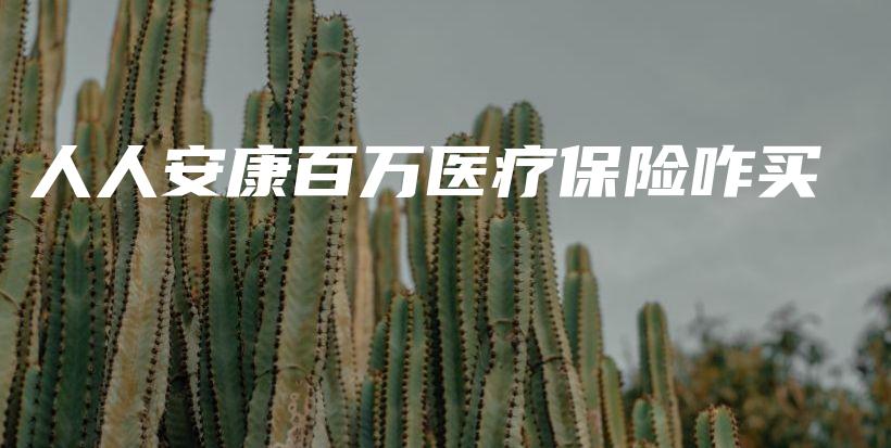 人人安康百万医疗保险咋买-保点通