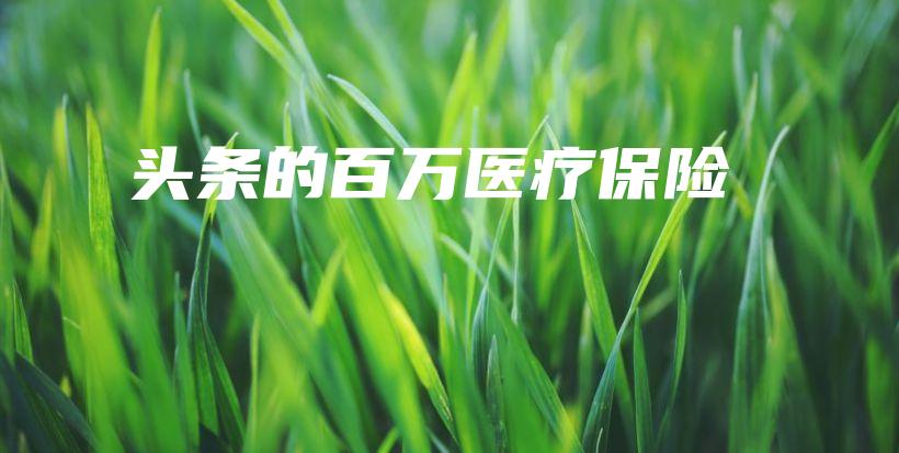 头条的百万医疗保险-保点通