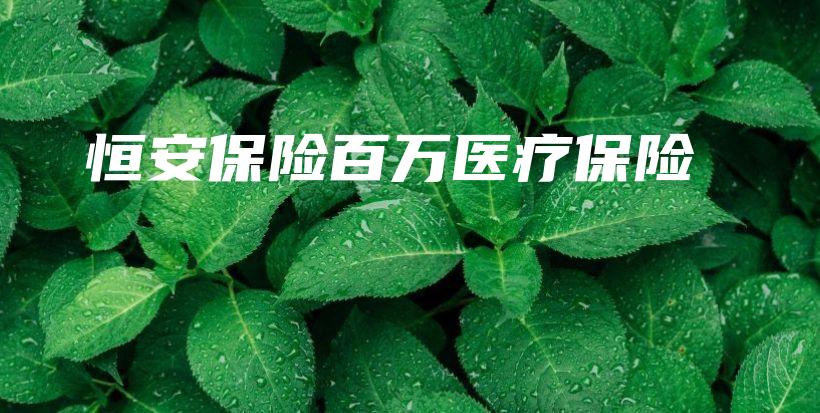 恒安保险百万医疗保险-保点通