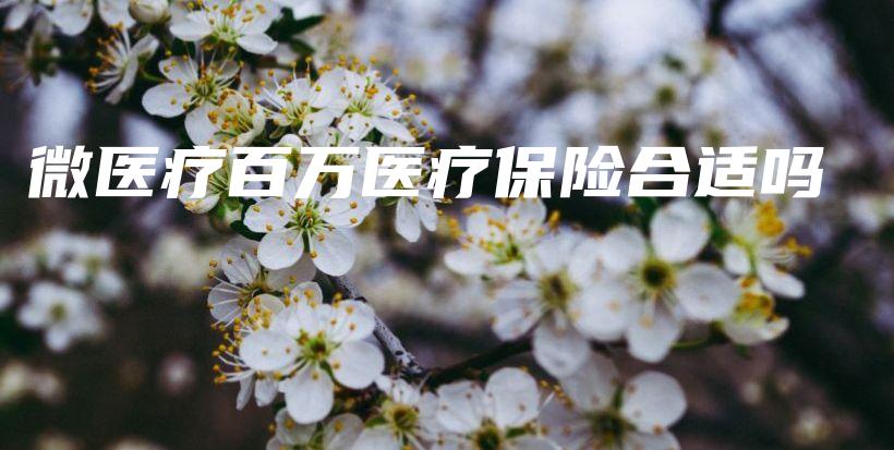 微医疗百万医疗保险合适吗-保点通