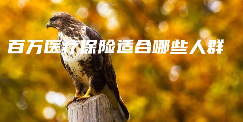 百万医疗保险适合哪些人群-保点通