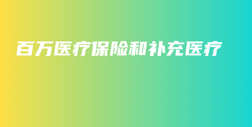 百万医疗保险和补充医疗-保点通