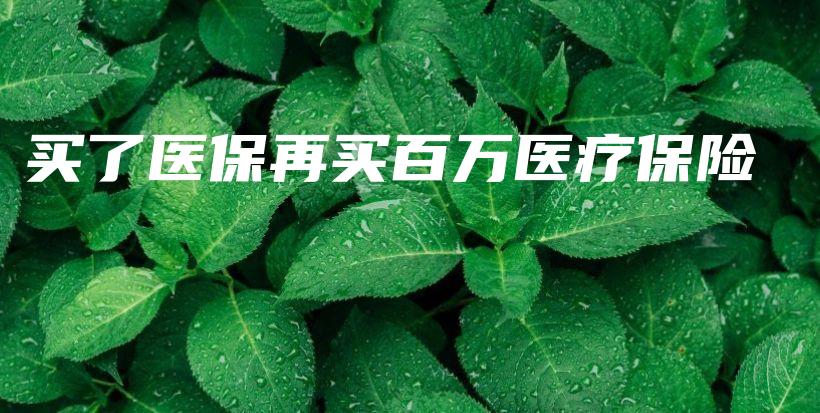 买了医保再买百万医疗保险-保点通