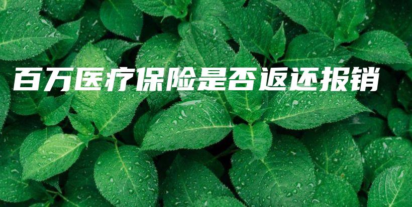 百万医疗保险是否返还报销-保点通