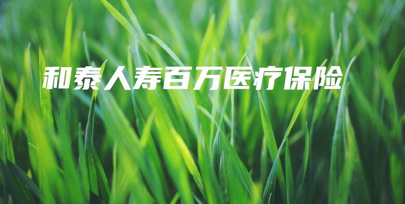 和泰人寿百万医疗保险-保点通