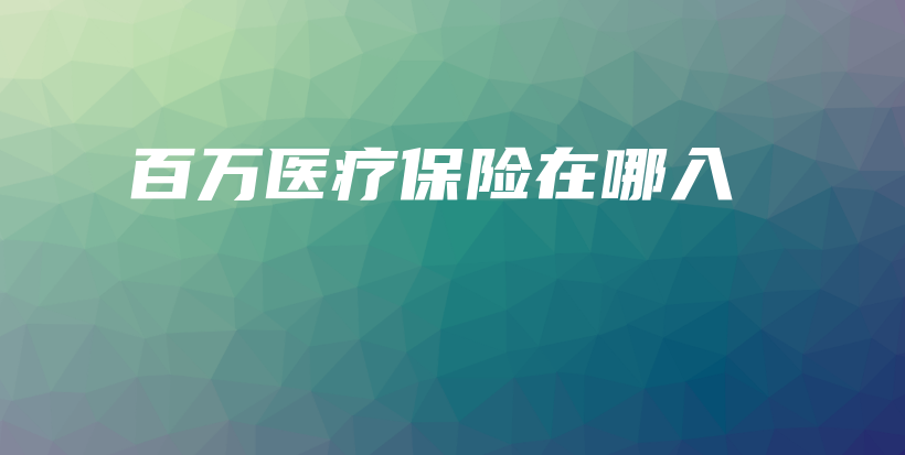 百万医疗保险在哪入-保点通