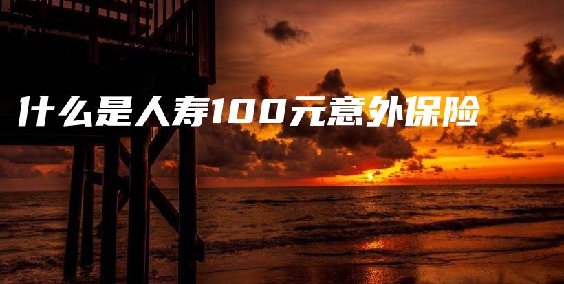 什么是人寿100元意外保险-保点通
