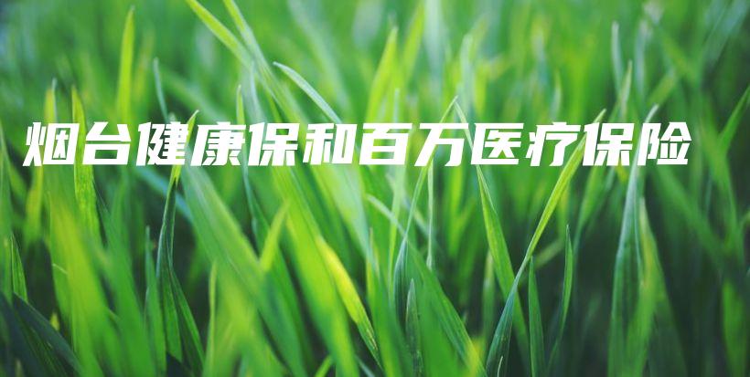 烟台健康保和百万医疗保险-保点通