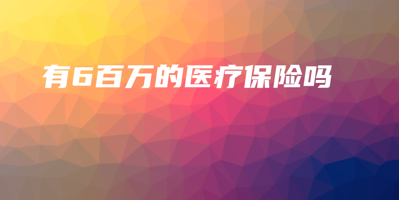 有6百万的医疗保险吗-保点通