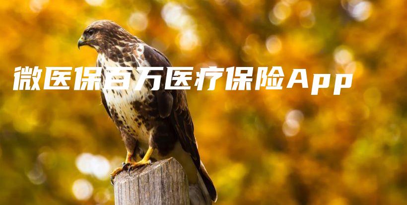 微医保百万医疗保险App-保点通