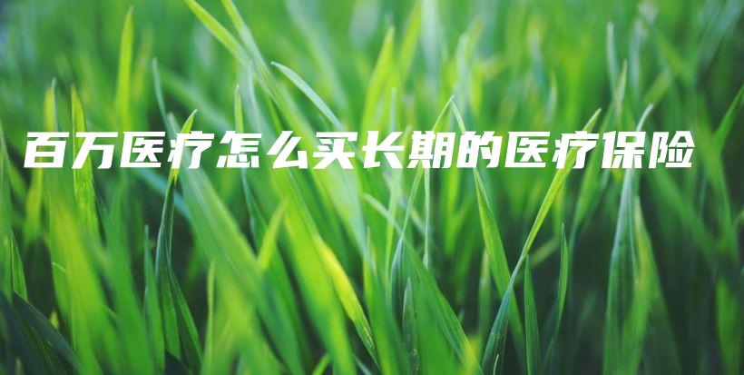 百万医疗怎么买长期的医疗保险-保点通