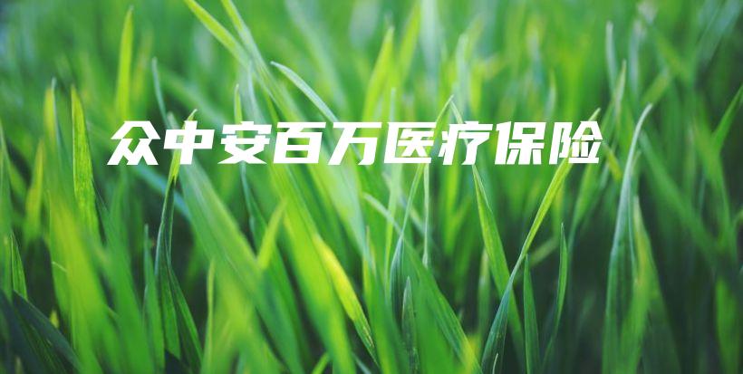 众中安百万医疗保险-保点通