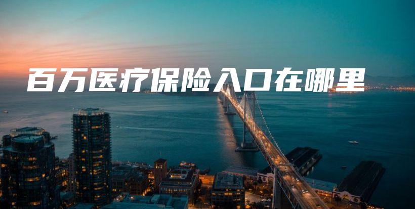 百万医疗保险入口在哪里-保点通