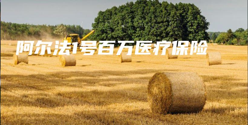 阿尔法1号百万医疗保险-保点通