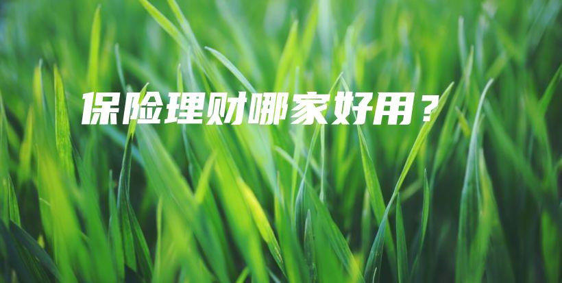 保险理财哪家好用？-保点通