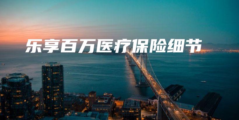 乐享百万医疗保险细节-保点通
