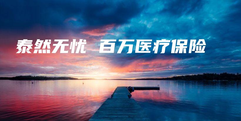 泰然无忧 百万医疗保险-保点通