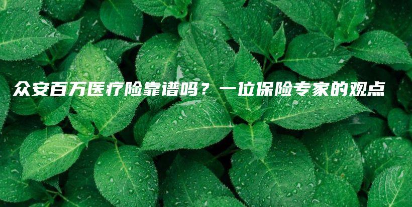 众安百万医疗险靠谱吗？一位保险专家的观点-保点通