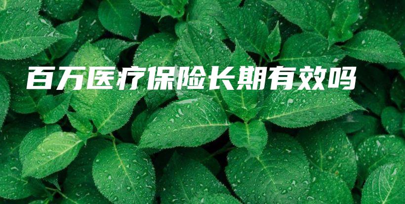 百万医疗保险长期有效吗-保点通