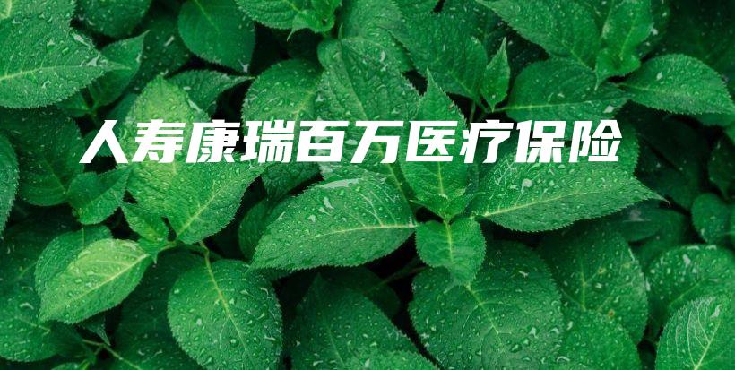 人寿康瑞百万医疗保险-保点通