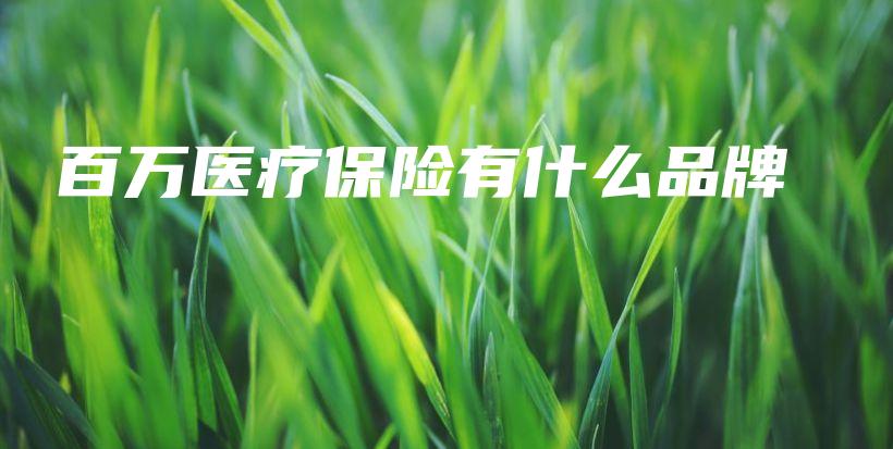 百万医疗保险有什么品牌-保点通