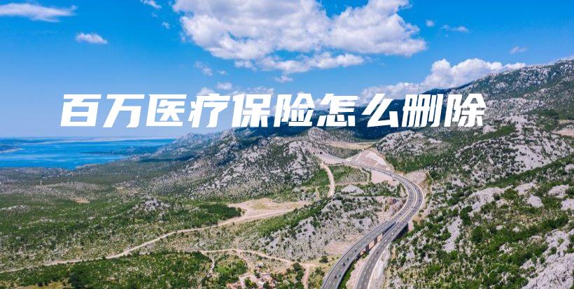 百万医疗保险怎么删除-保点通