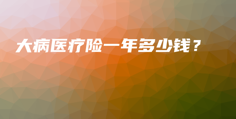 大病医疗险一年多少钱？-保点通