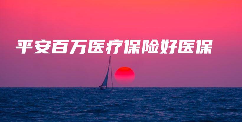 平安百万医疗保险好医保-保点通