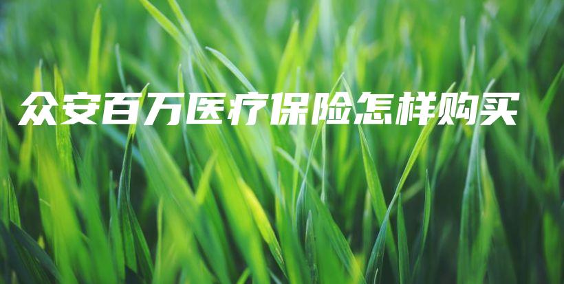 众安百万医疗保险怎样购买-保点通