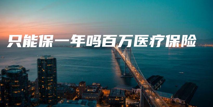 只能保一年吗百万医疗保险-保点通