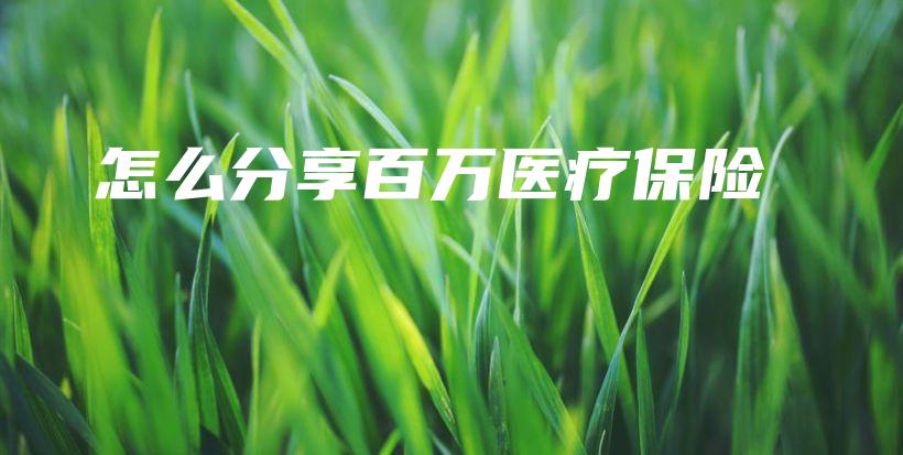 怎么分享百万医疗保险-保点通