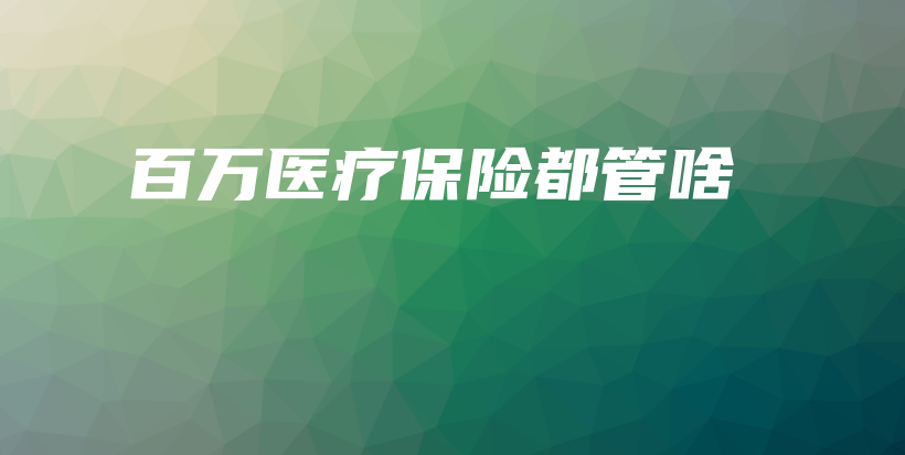 百万医疗保险都管啥-保点通
