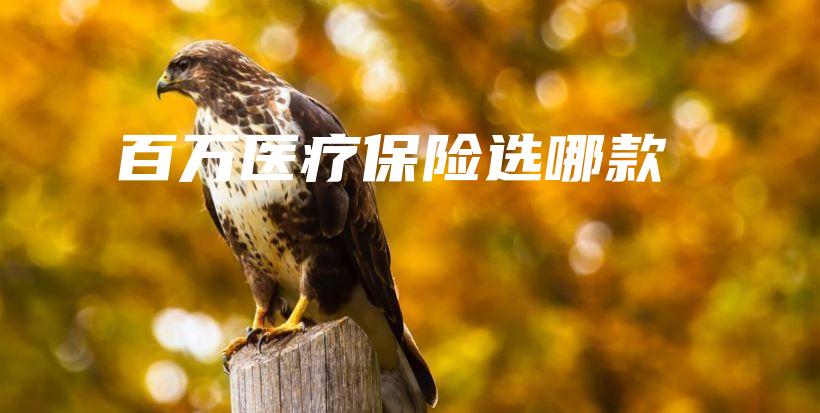 百万医疗保险选哪款-保点通