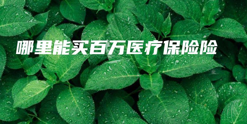 哪里能买百万医疗保险险-保点通