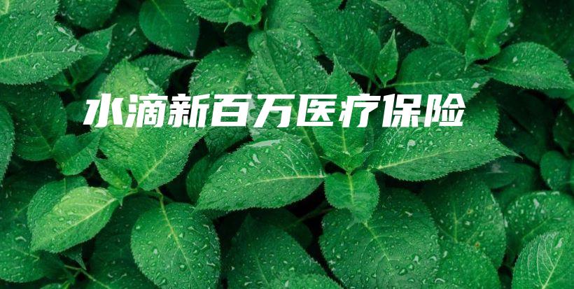 水滴新百万医疗保险-保点通
