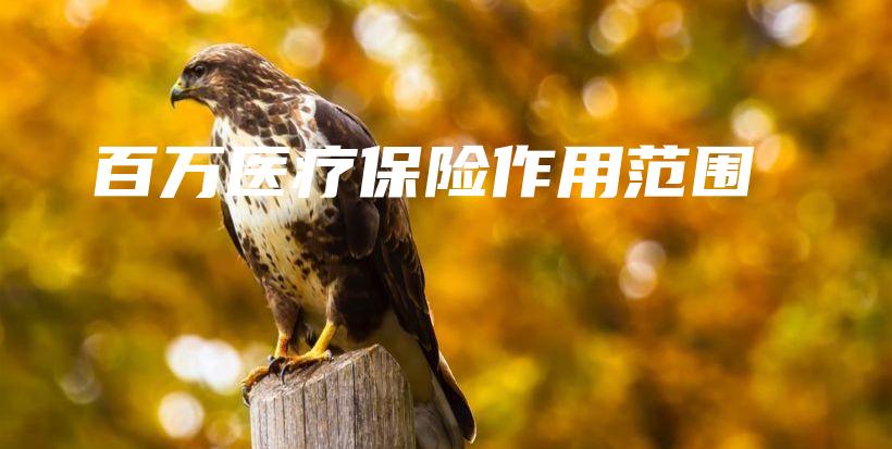百万医疗保险作用范围-保点通