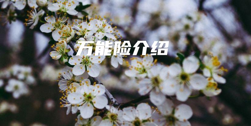 万能险介绍-保点通