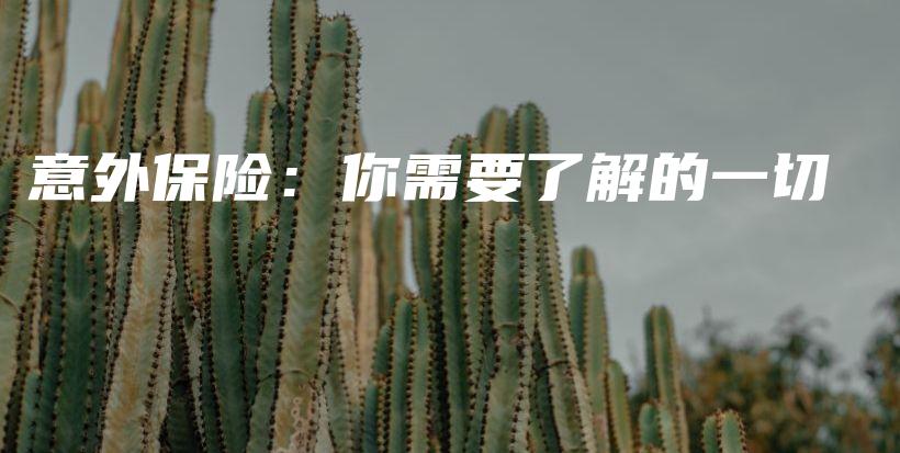 意外保险：你需要了解的一切-保点通