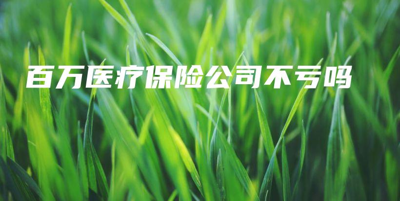 百万医疗保险公司不亏吗-保点通